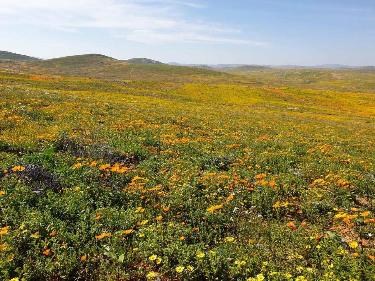 Namaqualand Eco Lodge Soebatsfontein Exteriör bild